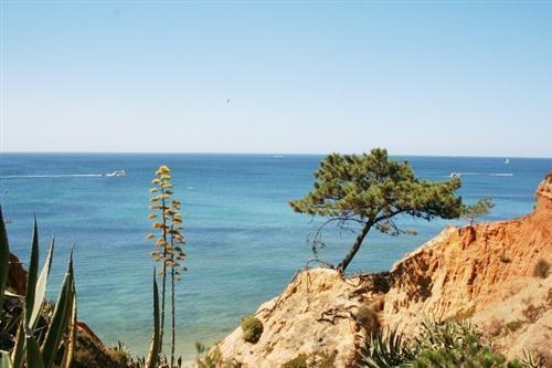 Apartamento Almerinda Albufeira Exteriér fotografie
